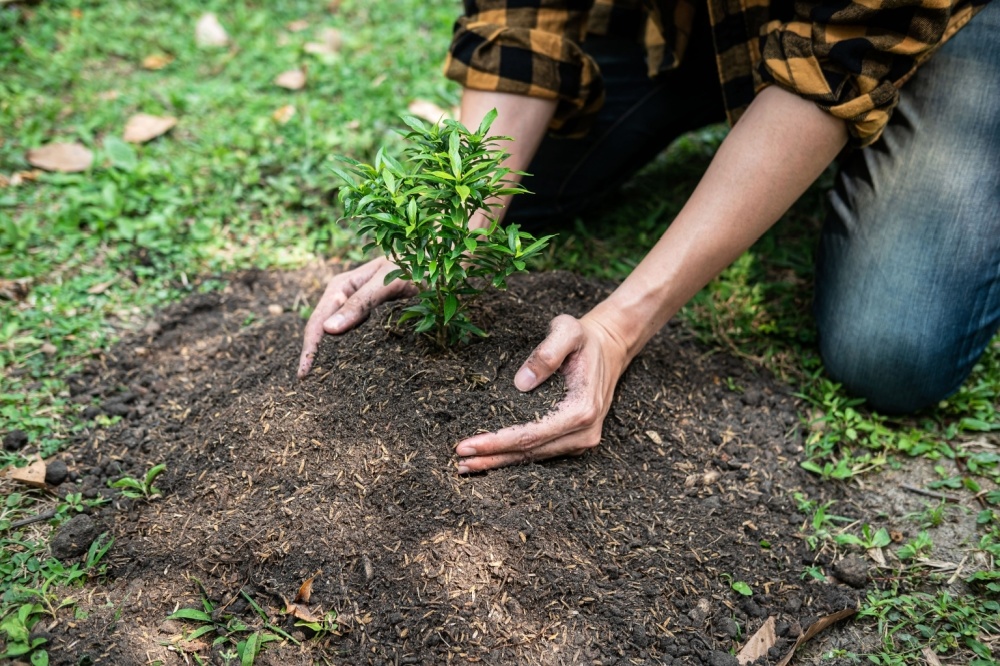 5 Basic Gardening Tips For Beginners Lacoste Garden Centre Webshop