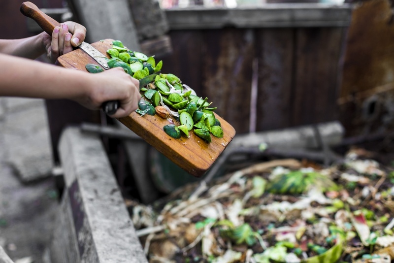 Compost guide