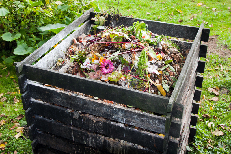 Making your own compost