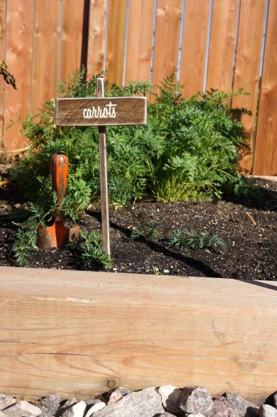 Start Making Plans for Your Kitchen Garden