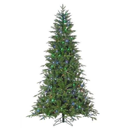 15' Nordmann Fir - image 1