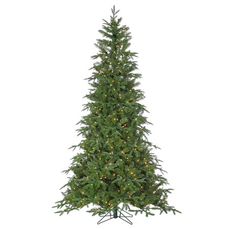 15' Nordmann Fir - image 2