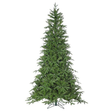 15' Nordmann Fir - image 3