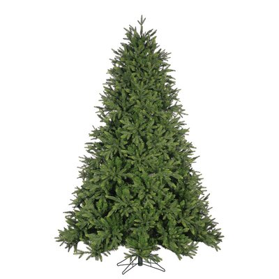 12' Wellington Pine (White and Coloured Lights) - image 2