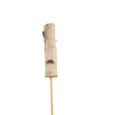 Birch Dynamite Sticks