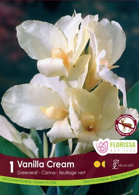 Canna Vanilla Cream