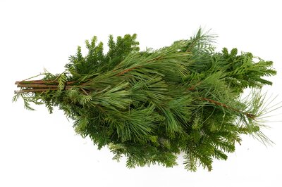 Christmas Evergreen Bouquet