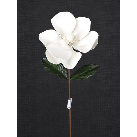 Magnolia Stem White