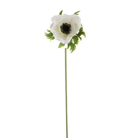 White Anemone Stem