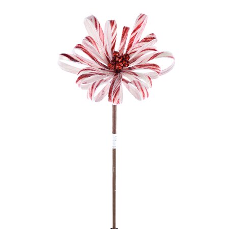 Red/Wht Mum Flower Stem