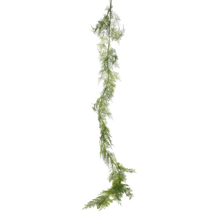 Asparagus Fern Garland