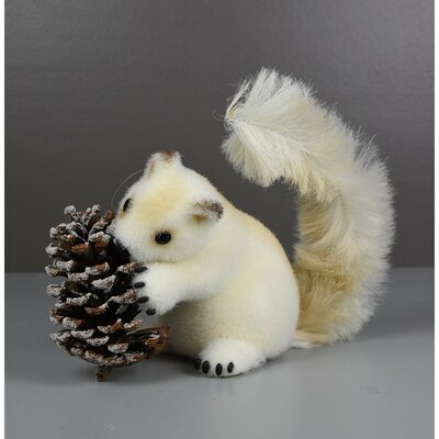 White Squirrel with Cone