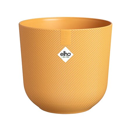 Jazz Yellow Pot