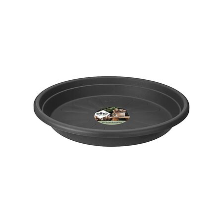 Grow Saucer Black