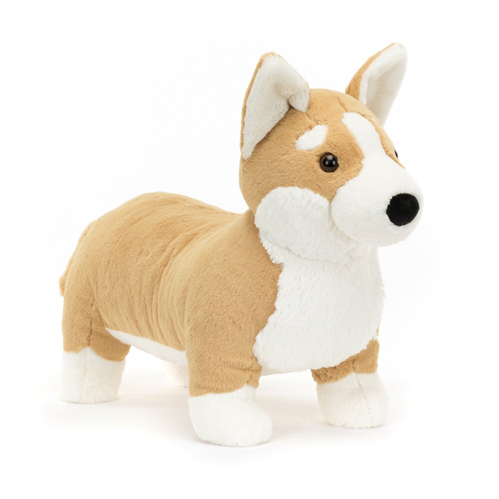 Corgi store clearance