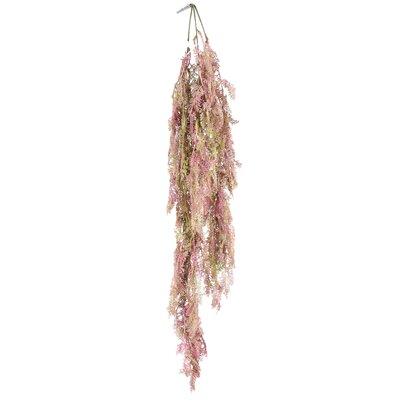 Pink/Green Hanging Fern