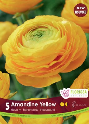 Ranunculus Amandine Yellow